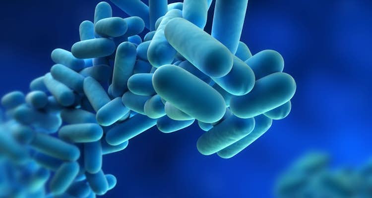 OMS monitora novo surto de Legionella na Argentina