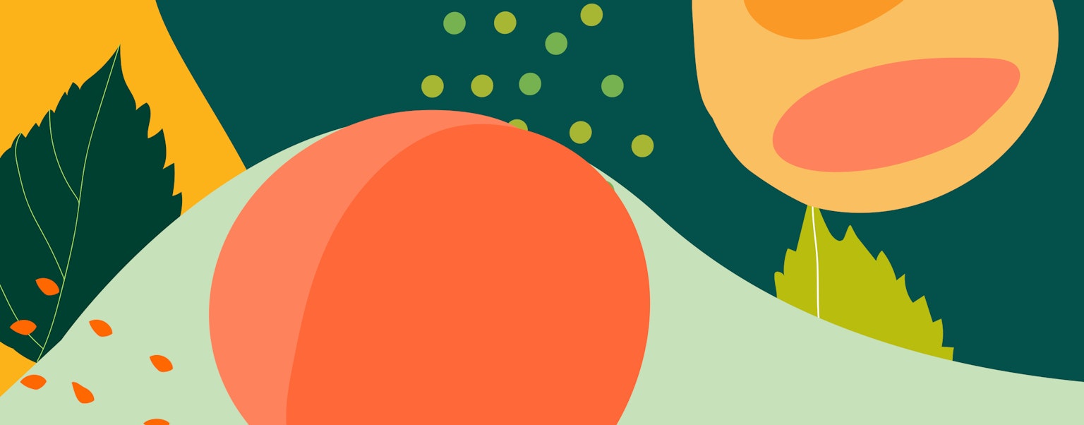 Colorido Studios |