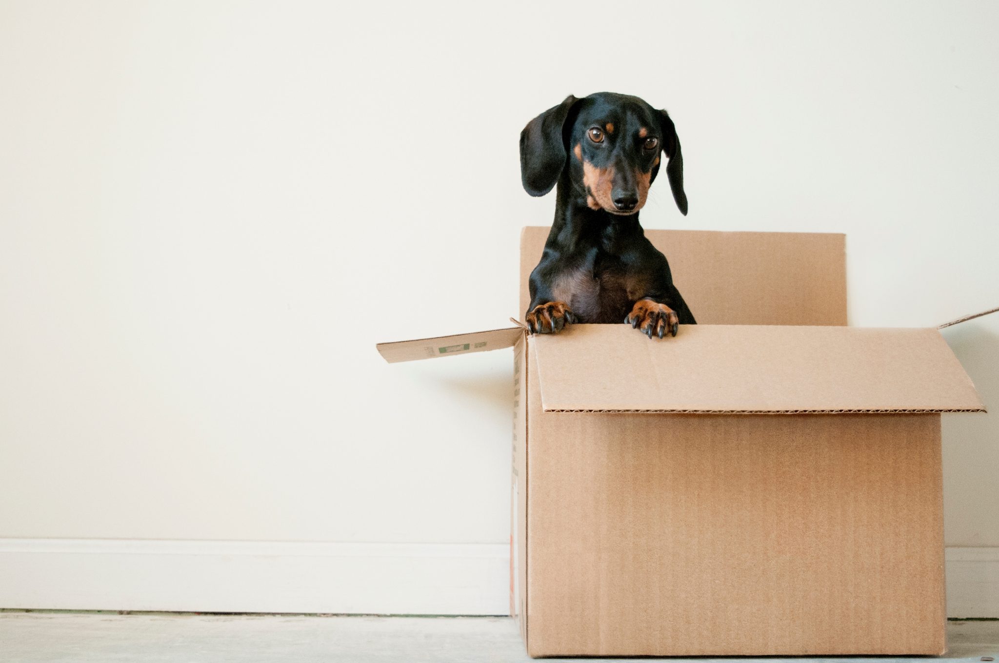 moving-out-of-home