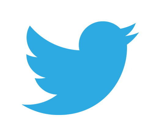 twitter video download extension