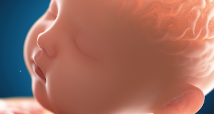 Neurossonografia Fetal