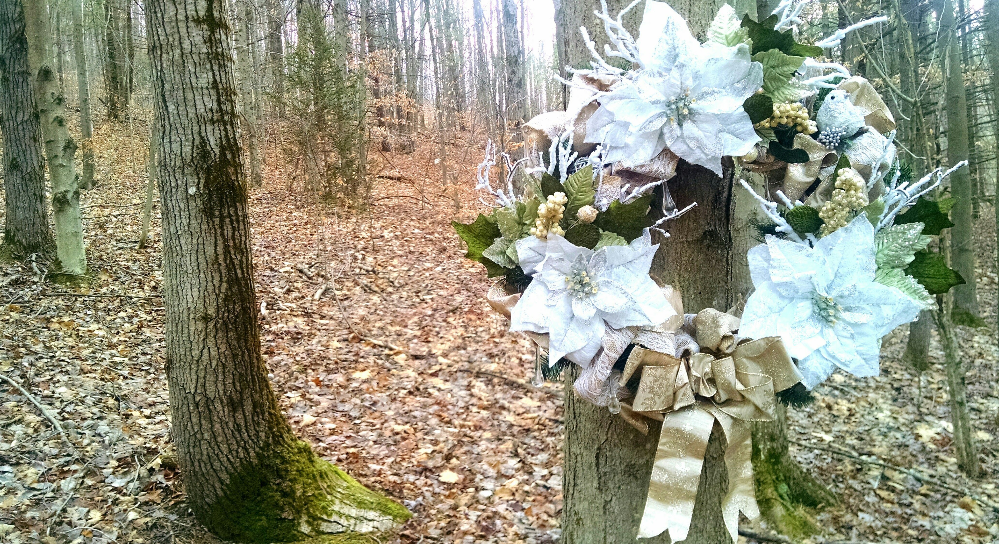 Holiday Wreaths