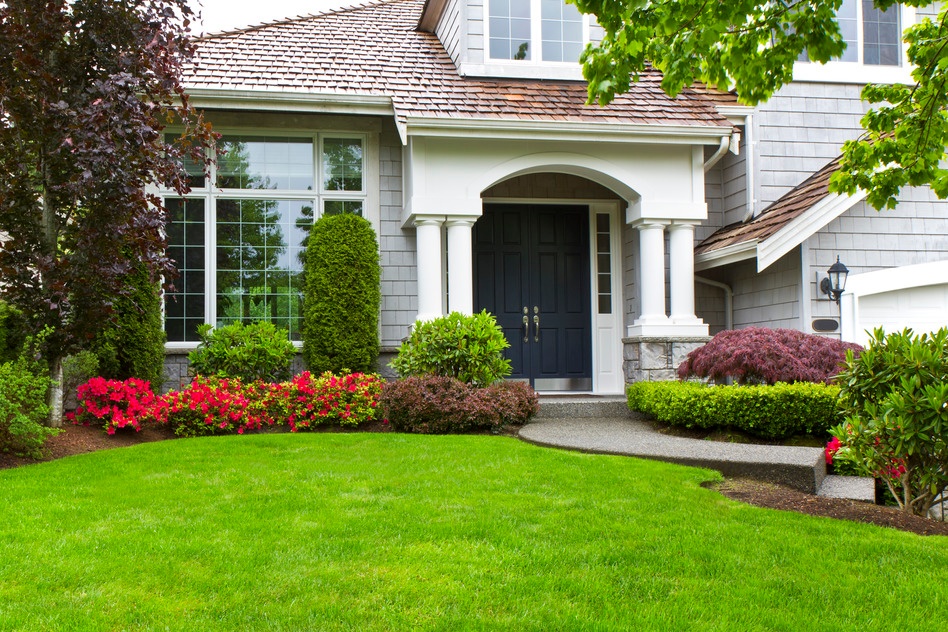 save-money-lawn